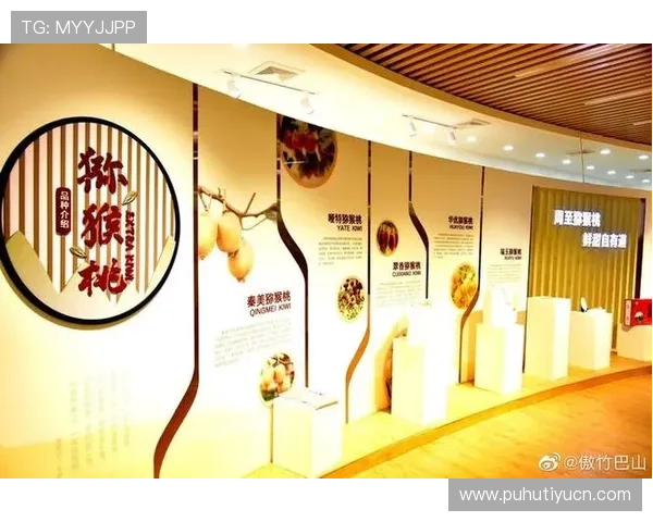 奇异果体育平台的未来创新方向与新兴技术应用前景展望